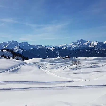 Les Iris - Samoens